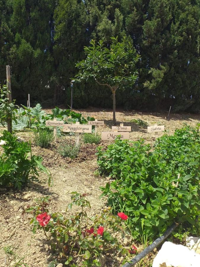 In Collina Sul Mare...
