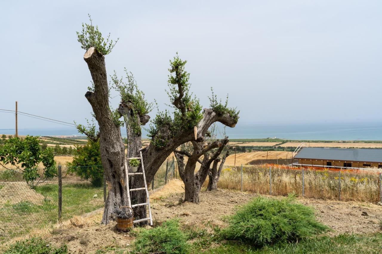 In Collina Sul Mare... *